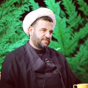 محمدرضا برادران